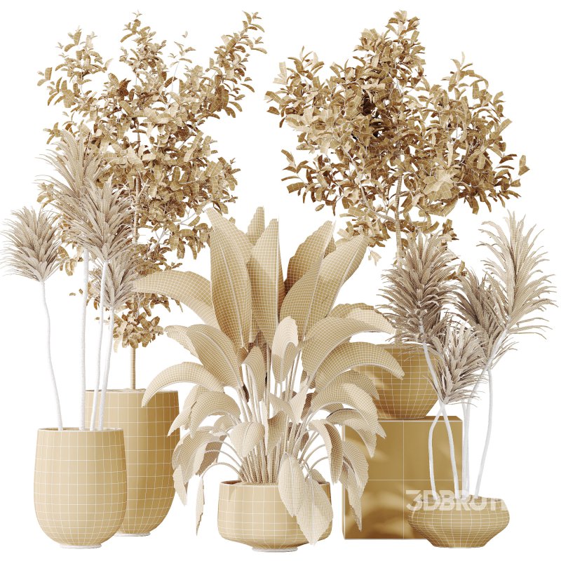 AV Indoor plants set 203 Yucca Aloifolia Rostrata Palm and Olive Eucalyptus and Banana Strelitzia Nicolai and Briful Pachira Aquatica Image 7