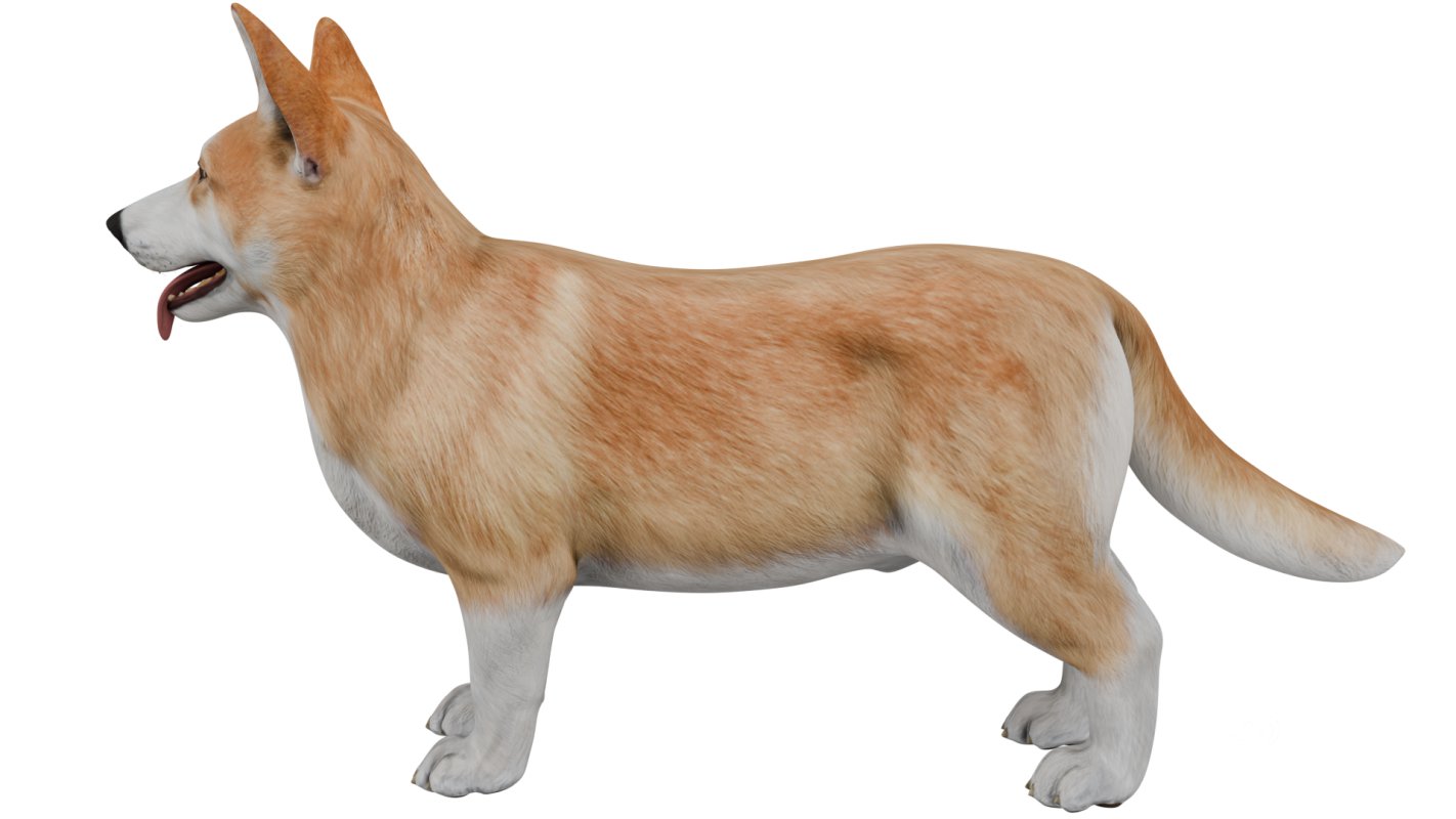 Corgi Image 3