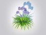 Agapanthus Africanus - Thumbnail 3