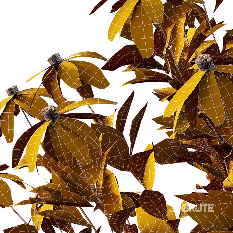 Different bush 03 Image 6