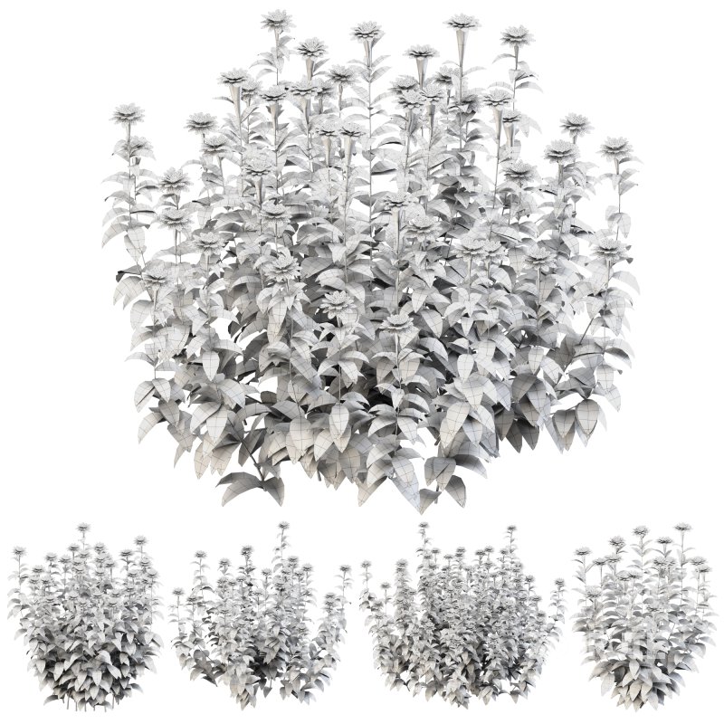 Purple blossom bush Image 5