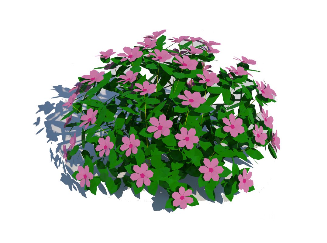 Impatiens-pink Image 2