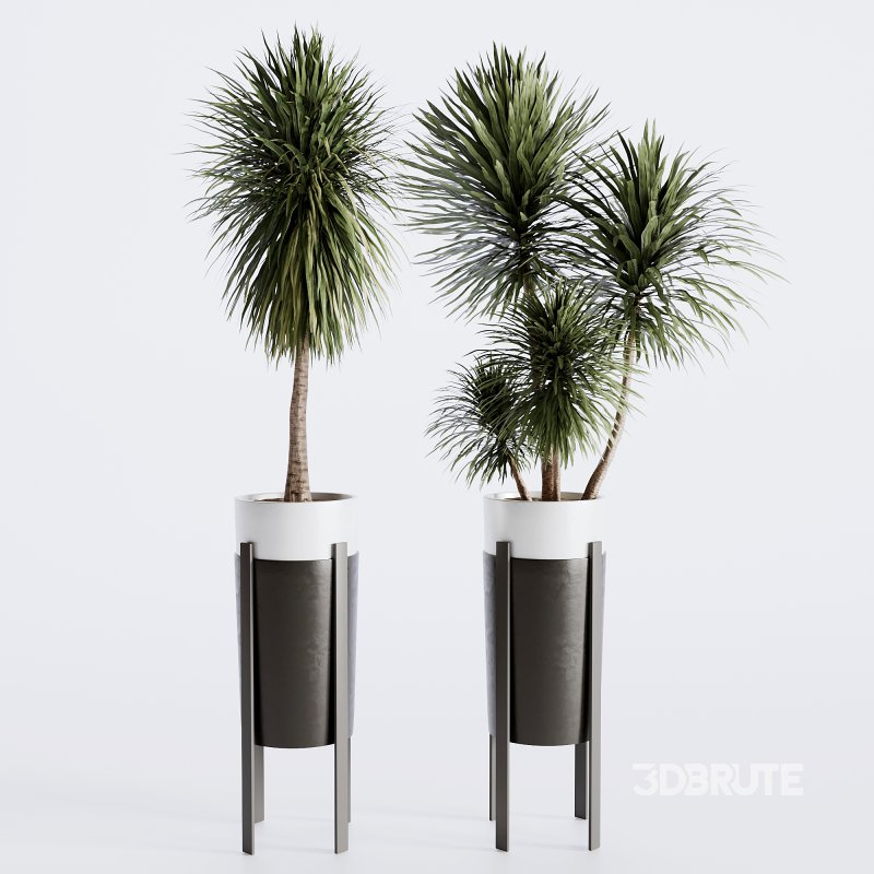 Indoor plants set173 Image 6