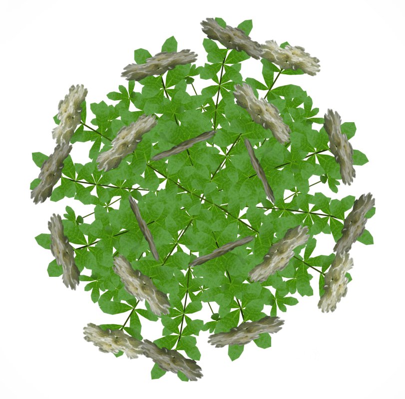 Azalea (White) Image 3