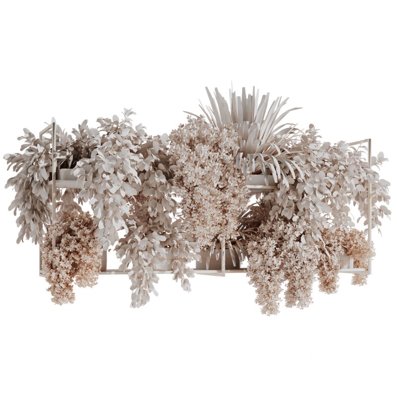 Indoorplants-Hanging plants set-92 Image 2