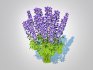 Baptisia australis – False Indigo_Blue - Thumbnail 1