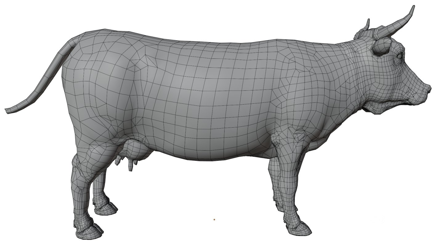 Cow Image 17