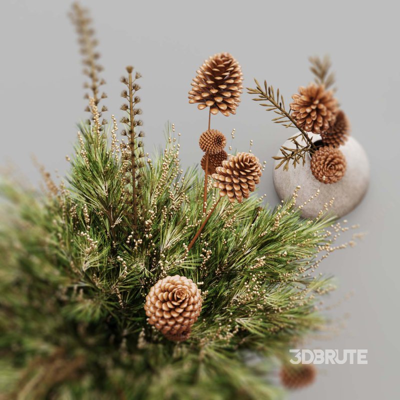 Pine branches in a rustic vase Image 4