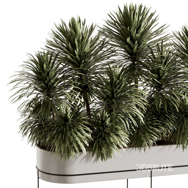 Indoor plants-Plants in Box- set175 Image 4