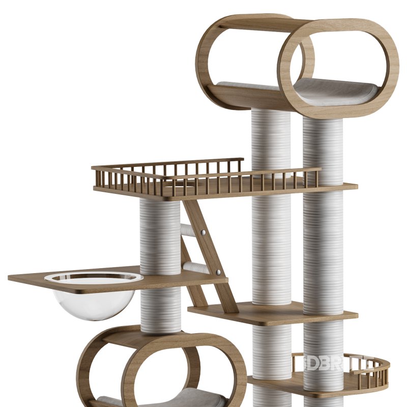 Feline Funhouse 03 Image 12