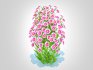 Aster novi-belgii – Dawrf Aster – pink - Thumbnail 4