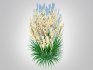 Calamagrostis-reed grass - Thumbnail 4