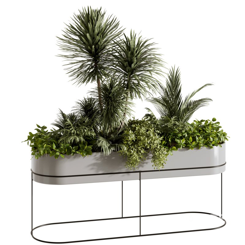 : Indoor plants-plants in box set174 Image 4