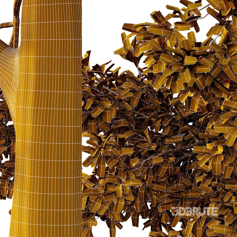 Spanish Moss Tree 05 Image 2