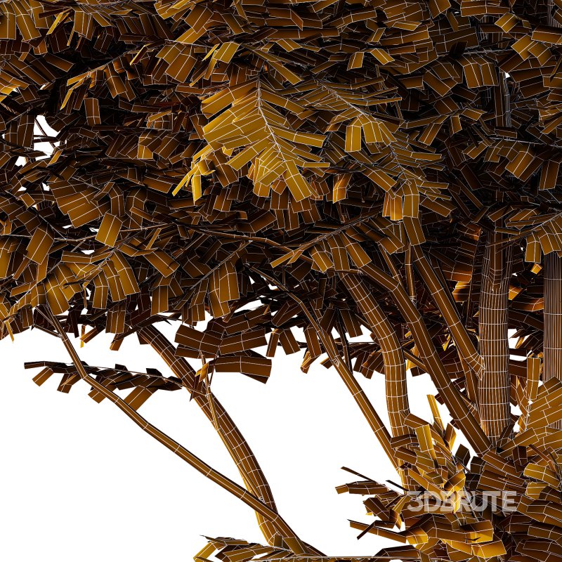 fraxinus excelsior Tree001 Image 4