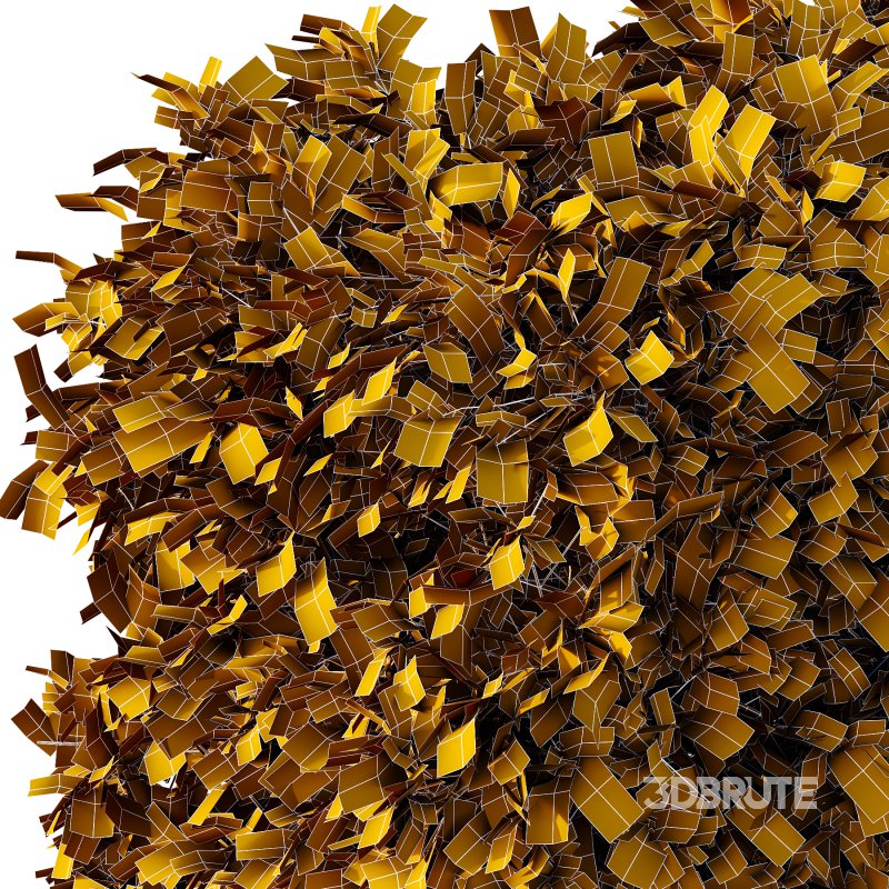 Carpinus Betulus Bush 01 Image 5