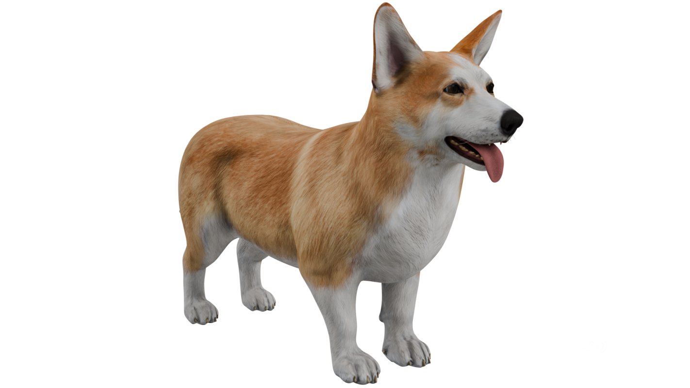 Corgi Image 8