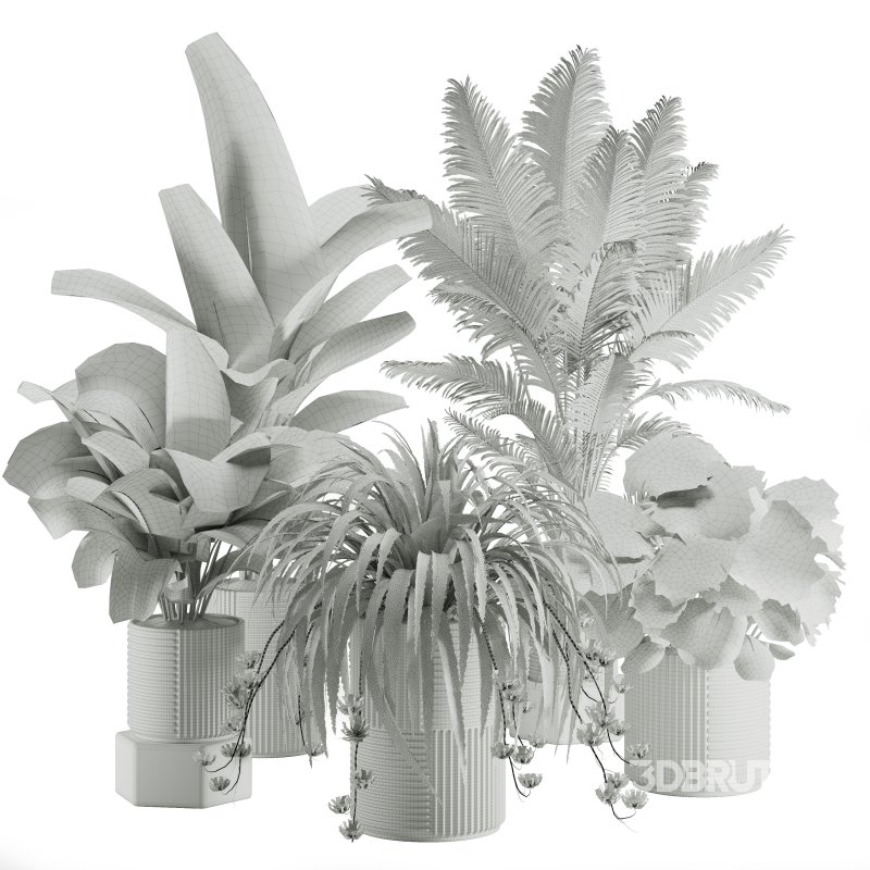 Indoor Plant Tropical Set01 Image 4