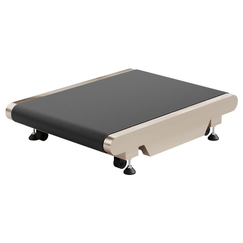 SE-XR011 Flat Belt Power-driven Conveyor Image 3