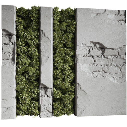 Wall with plant 08