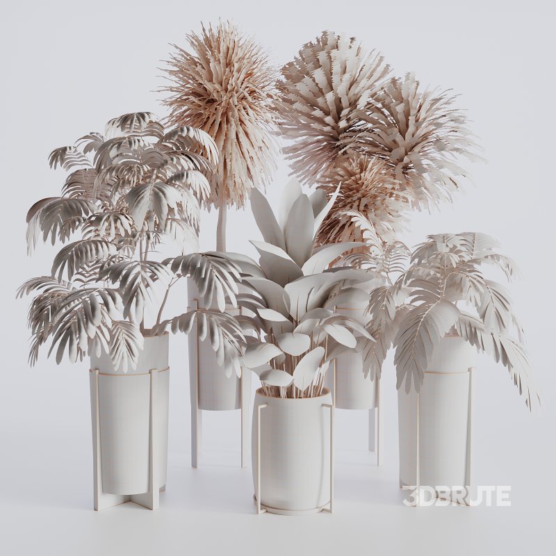 Indoor plants set173 Image 7