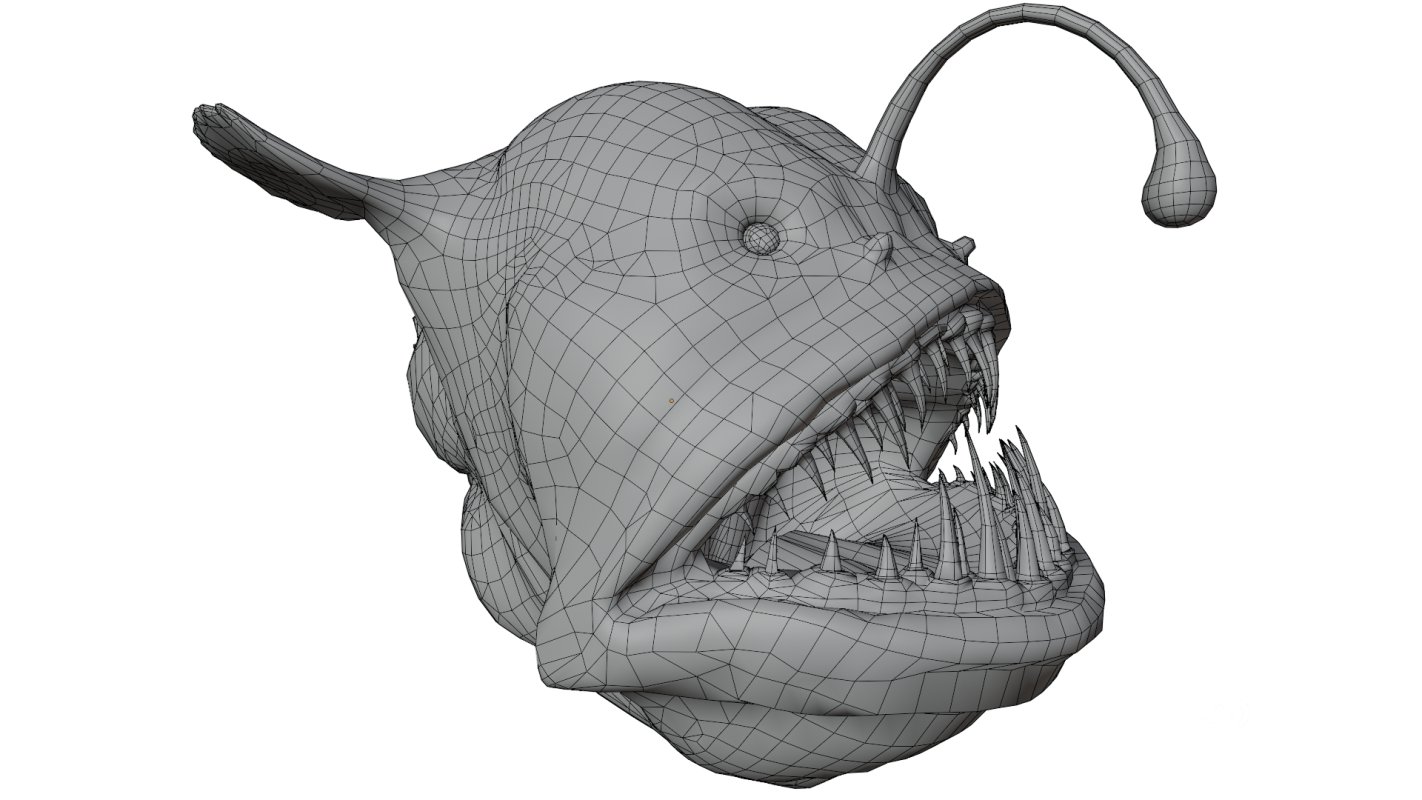Angler Fish Image 18
