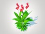 Canna-canna lily_(geen-red) - Thumbnail 1