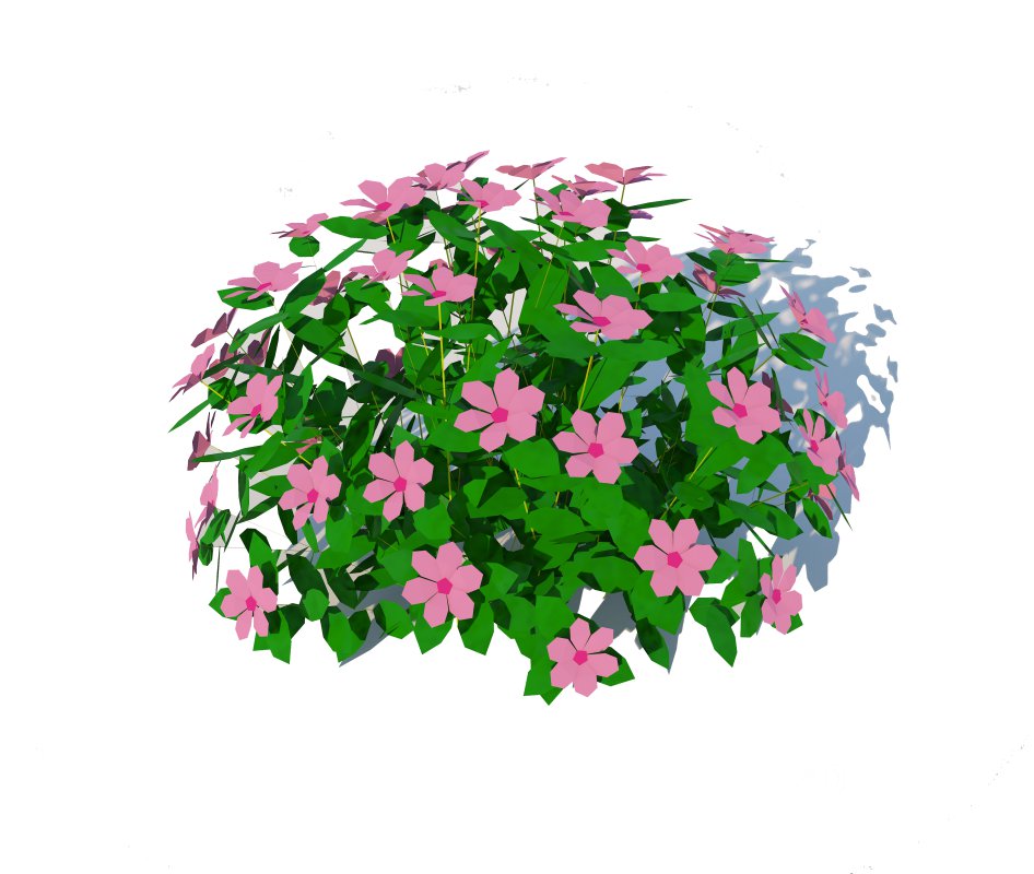 Impatiens-pink Image 6