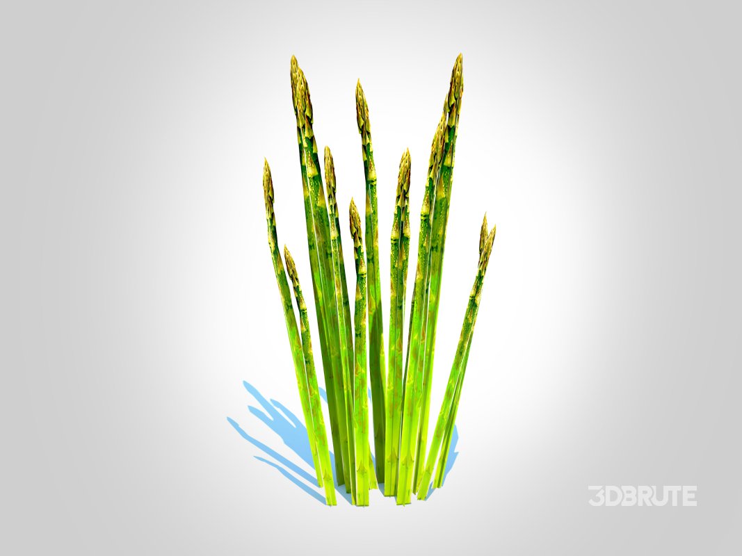 Asparagus Image 2