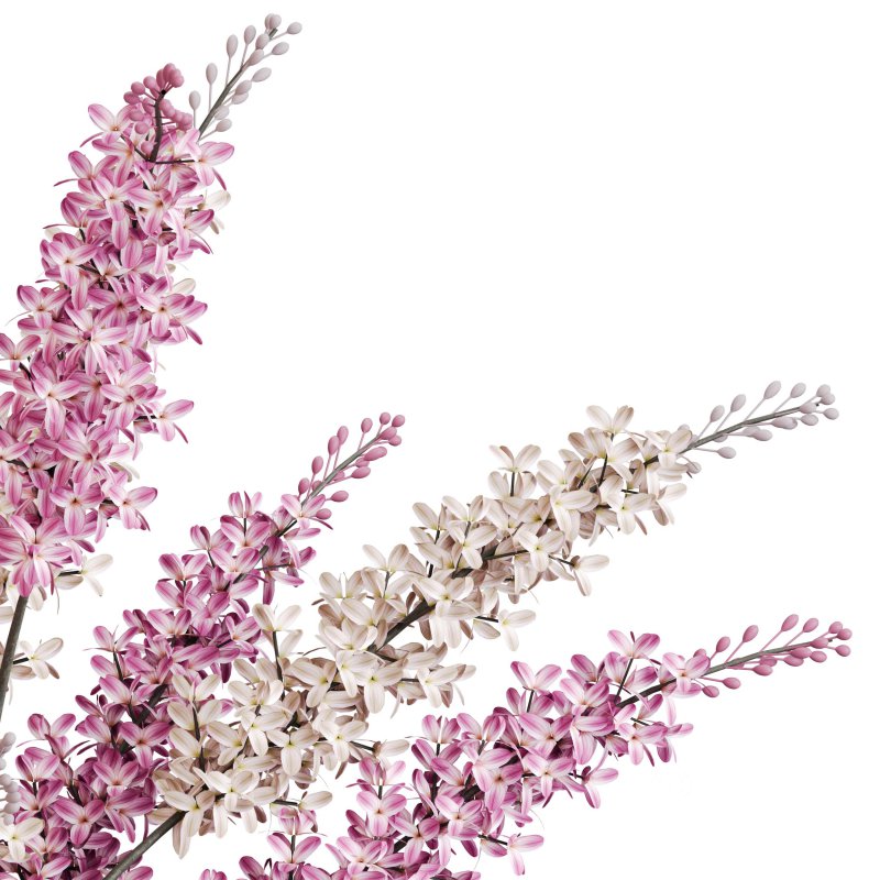 Lilac bloom harmony Image 2