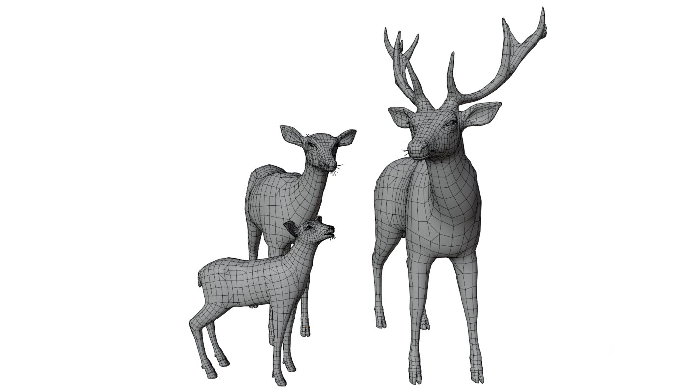 Deer Family Image 11