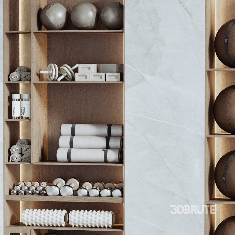 A Rack with gym equipment 03 Image 5