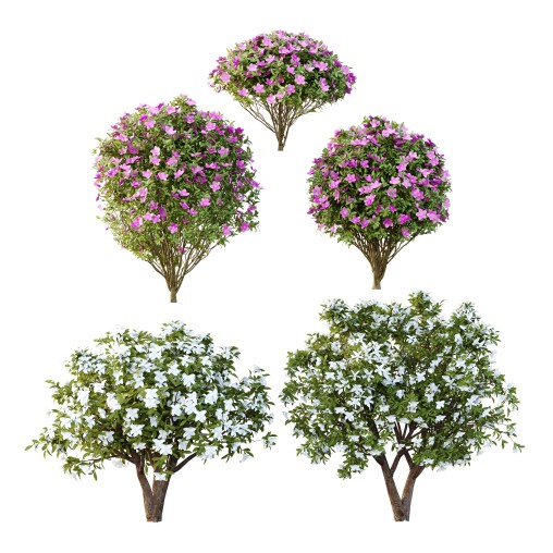Different bush 04