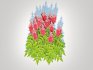 Astilbe-red - Thumbnail 3