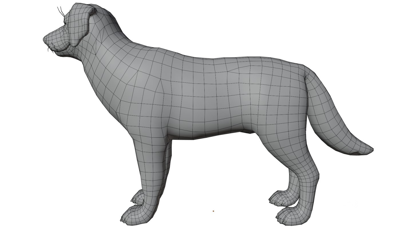 Golden Retriever Image 11