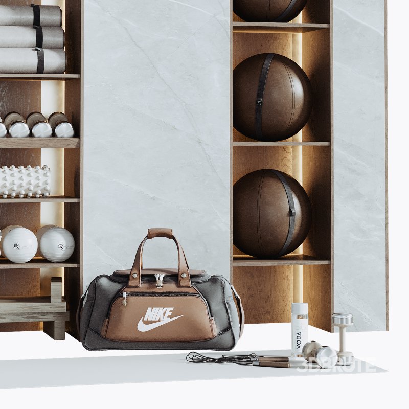 A Rack with gym equipment 03 Image 4