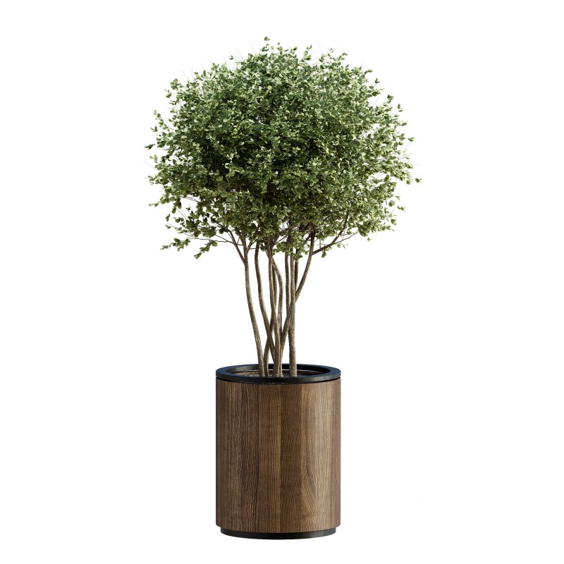 13 High Quality 3D Pot plants Image 7