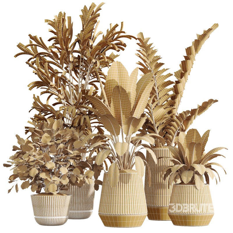 AV Indoor Plants Set 225 Eucalyptus Bouquet and Areca Palm and Ficus Elastica and Zamiifolia Image 5