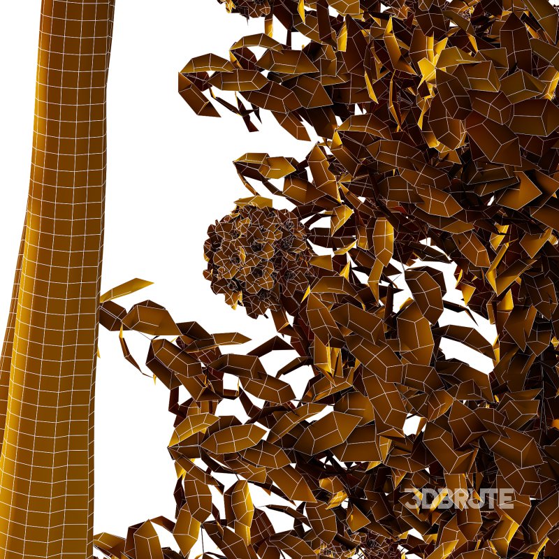 Rhododendron Arboreum Bush 03 Image 5