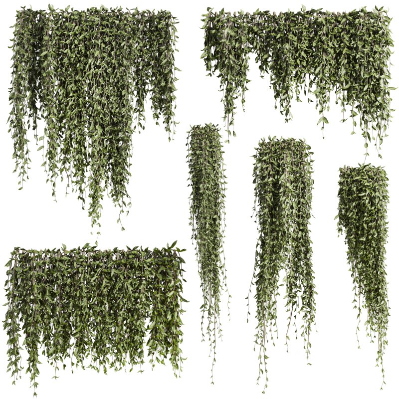 Plants_Set_167 Image 2