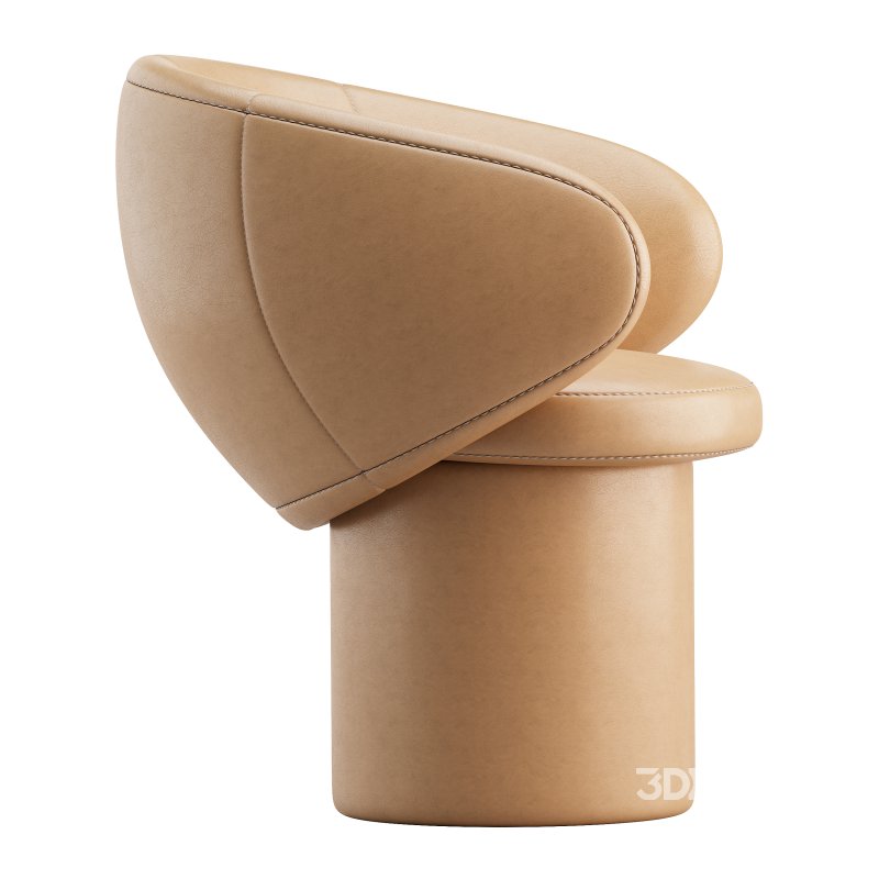 Reich c/ retorno Image 5