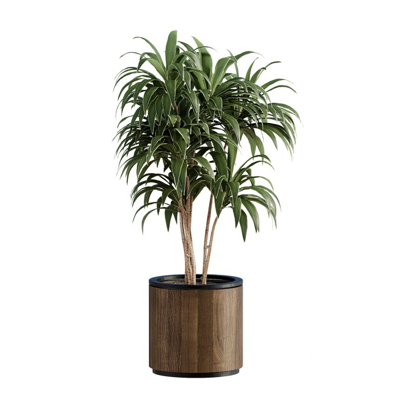 13 High Quality 3D Pot plants Image 12
