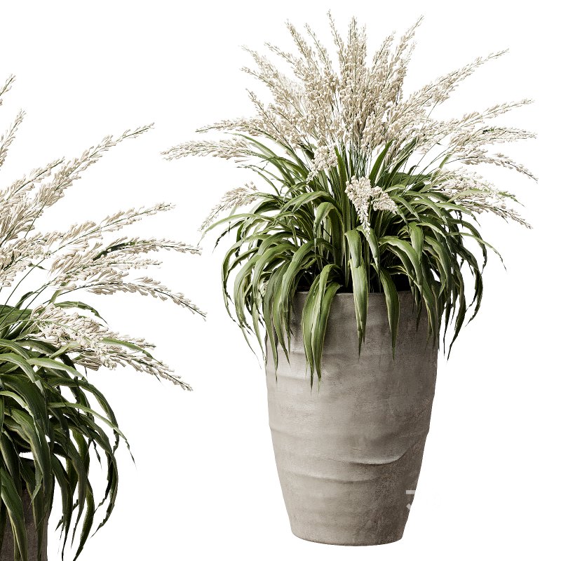 Outdoor Plant 42 Image 5