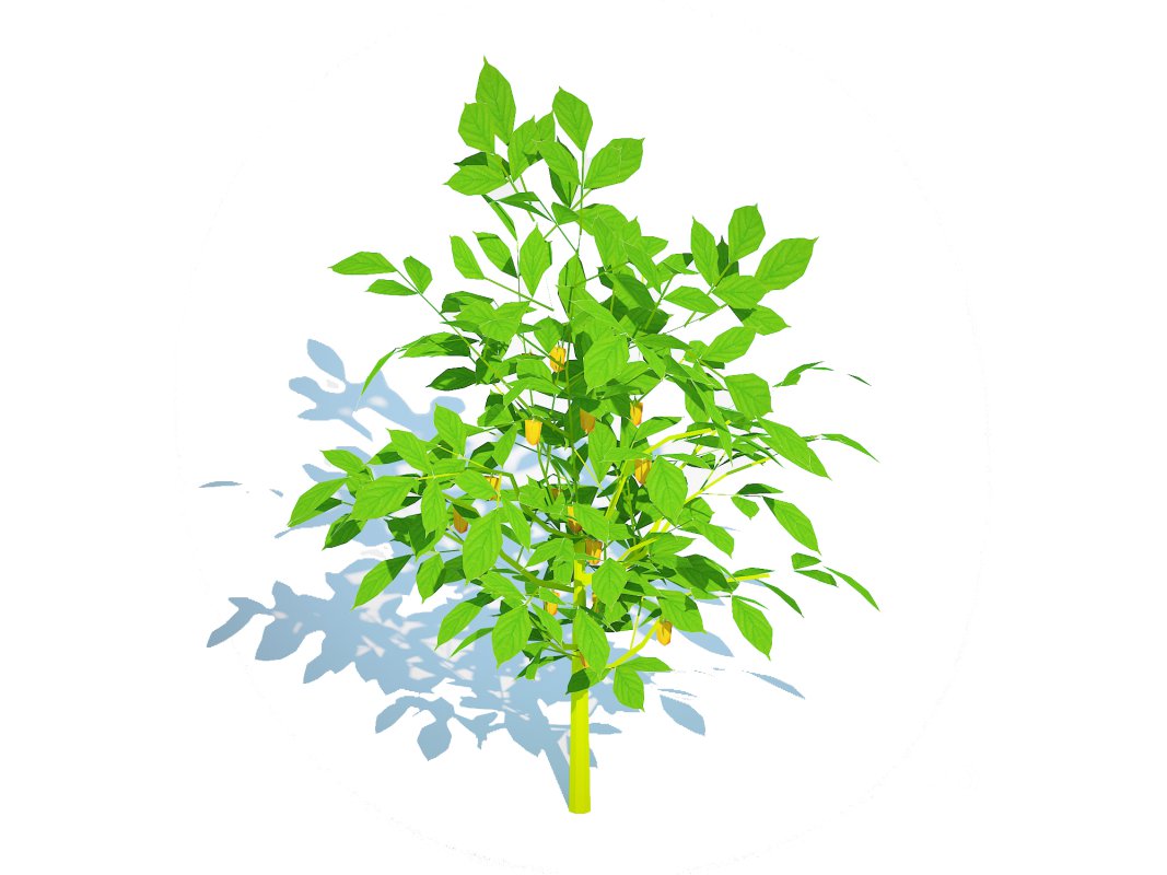 Bell Pepper-yellow Image 2