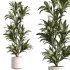 AV Indoor Plant Set 216 Olive Artificial Dracaena Warneckii Lemon Calathea Lutea Areca Palm - Thumbnail 5