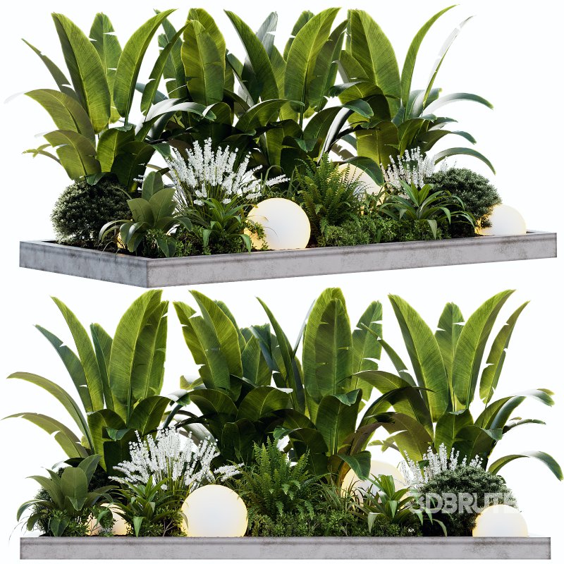 Outdoor Plant 40 Image 2