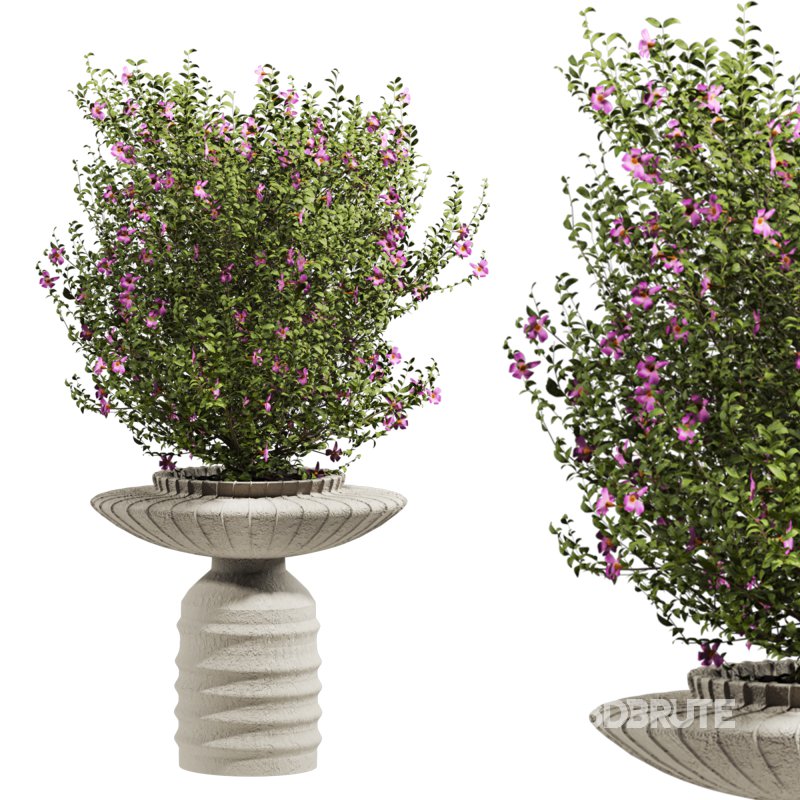 bush plants set Image 2