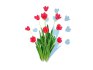 Tulipa – tulips Red - Thumbnail 4