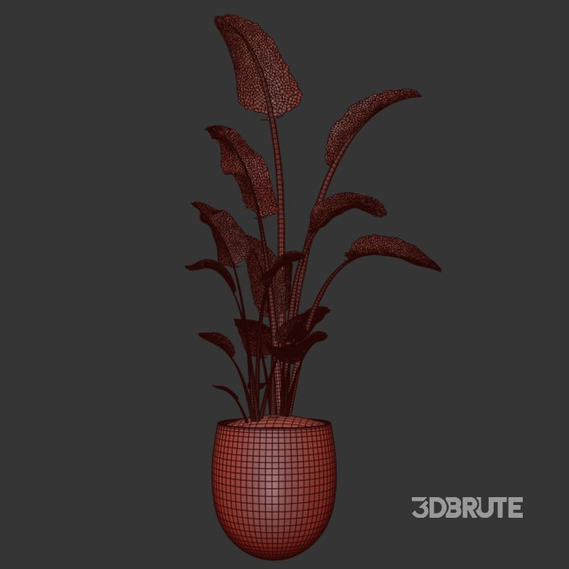 indoor plant 01 Image 3