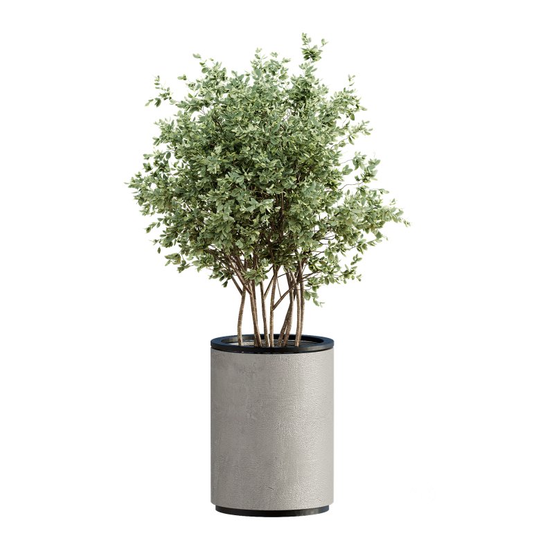 13 High Quality 3D Pot plants Image 15